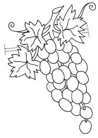Fisă de colorat cu Fructe struguri de colorat p16