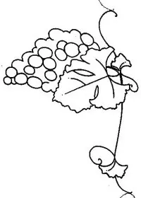 Fisă de colorat cu Fructe struguri de colorat p19