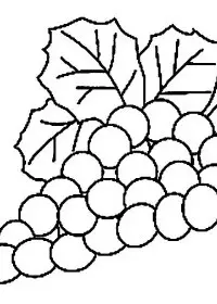 Fisă de colorat cu Fructe struguri de colorat p21