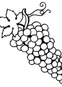 Fisă de colorat cu Fructe struguri de colorat p23