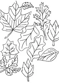 Fisă de colorat cu Frunze de colorat p02