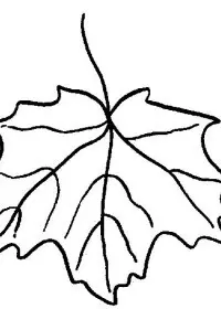 Fisă de colorat cu Frunze de colorat p03