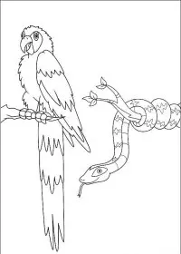 Fisă de colorat cu Go diego go de colorat p05