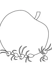 Fisă de colorat cu Greierele si furnica de colorat p02