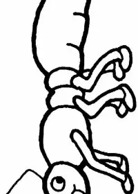 Fisă de colorat cu Greierele si furnica de colorat p05