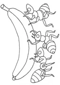 Fisă de colorat cu Greierele si furnica de colorat p10