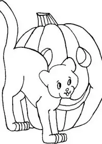 Fisă de colorat cu Hallowen de colorat p71