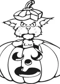 Fisă de colorat cu Hallowen de colorat p80