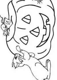 Fisă de colorat cu Hallowen de colorat p85