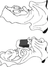 Fisă de colorat cu Hallowen de colorat p90