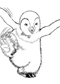 Happy Feet de colorat