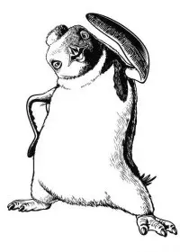 Fisă de colorat cu Happy feet de colorat p07