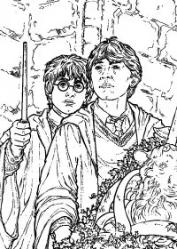 Fisă de colorat cu Harry potter camera secretelor de colorat p04