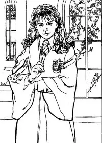 Fisă de colorat cu Harry potter camera secretelor de colorat p11