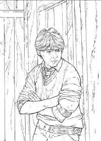 Fisă de colorat cu Harry potter de colorat p11