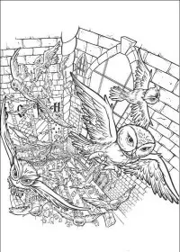 Fisă de colorat cu Harry potter de colorat p12