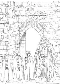 Fisă de colorat cu Harry potter de colorat p14
