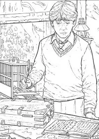 Fisă de colorat cu Harry potter de colorat p20
