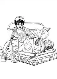 Fisă de colorat cu Harry potter de colorat p25