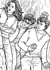 Fisă de colorat cu Harry potter piatra filosofala de colorat p10