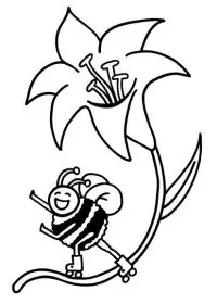 Fisă de colorat cu Insecte albinute de colorat p08