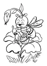 Fisă de colorat cu Insecte albinute de colorat p09