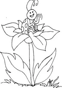 Fisă de colorat cu Insecte buburuze de colorat p04