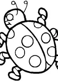 Fisă de colorat cu Insecte buburuze de colorat p07