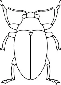 Fisă de colorat cu Insecte de colorat p03