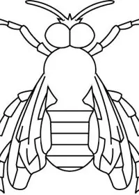 Fisă de colorat cu Insecte de colorat p04