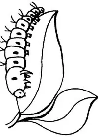 Fisă de colorat cu Insecte de colorat p11