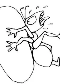 Fisă de colorat cu Insecte de colorat p14