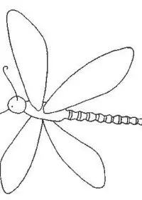 Fisă de colorat cu Insecte de colorat p18