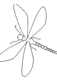 Fisă de colorat cu Insecte de colorat p19