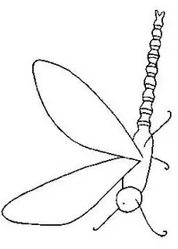 Fisă de colorat cu Insecte de colorat p20