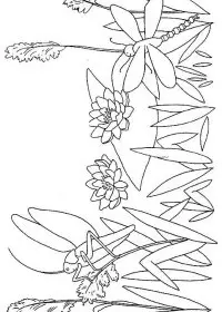 Fisă de colorat cu Insecte de colorat p22