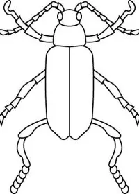 Fisă de colorat cu Insecte de colorat p25