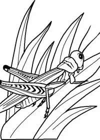 Fisă de colorat cu Insecte de colorat p39