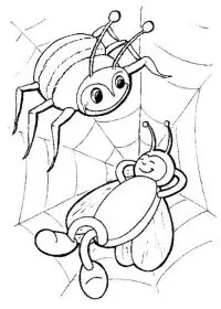 Fisă de colorat cu Insecte paianjeni de colorat p04
