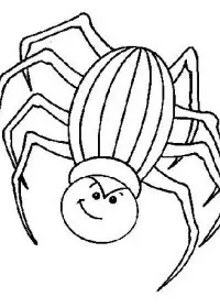 Fisă de colorat cu Insecte paianjeni de colorat p05