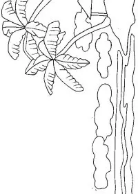 Fisă de colorat cu Insule de colorat p12