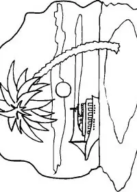 Fisă de colorat cu Insule de colorat p14