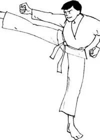 Fisă de colorat cu Judo de colorat p21