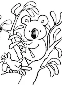 Fisă de colorat cu Koala de colorat p09