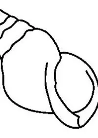 Fisă de colorat cu La mare de colorat p56