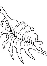 Fisă de colorat cu La mare de colorat p66