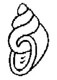 Fisă de colorat cu La mare de colorat p67