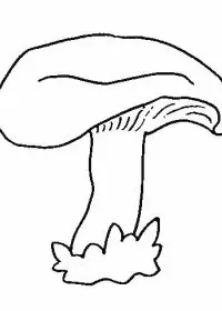 Fisă de colorat cu Legume de colorat p05