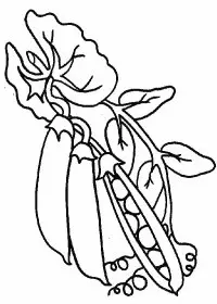 Fisă de colorat cu Legume de colorat p09