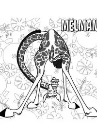 Fisă de colorat cu Madagascar de colorat p72